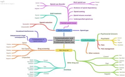 Classifying Characteristics of Opioid Use Disorder From Hospital Discharge Summaries Using Natural Language Processing